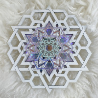 "The Compact Disc Series" (2024) 170mm Diameter 