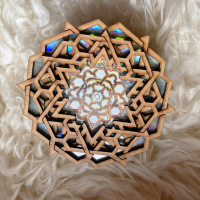 "The Compact Disc Series" (2024) - 120mm